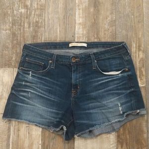 BIG STAR "Maddie" cut-off/frayed distressed denim jeans shorts sz 31 The Buckle